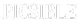 Picsible Logo Icon